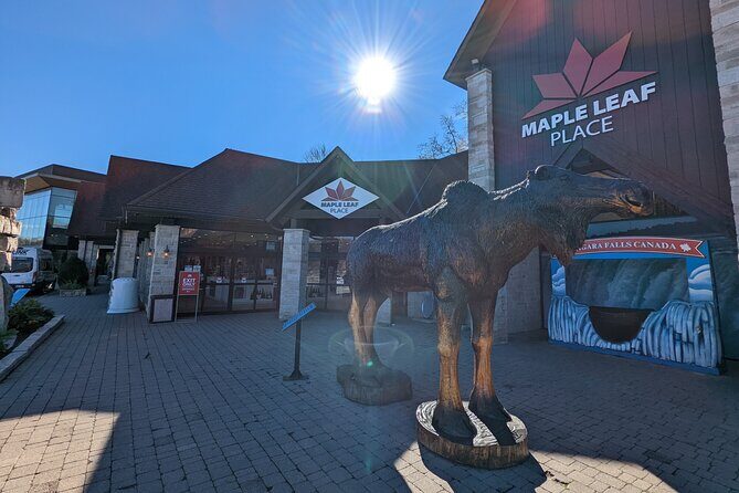 Niagara Falls All inclusive Day Tour From Toronto - In Closing