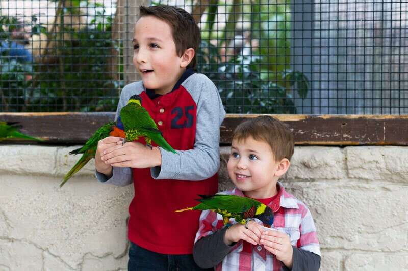 Niagara Falls, Canada: Bird Kingdom Entry Ticket - What Makes This Experience Special?
