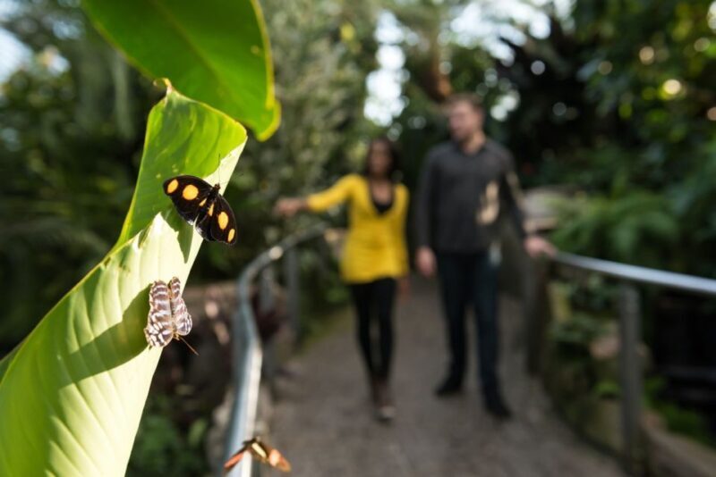 Niagara Falls, Canada: Butterfly Conservatory Admission - The Sum Up: Who Will Love the Butterfly Conservatory?