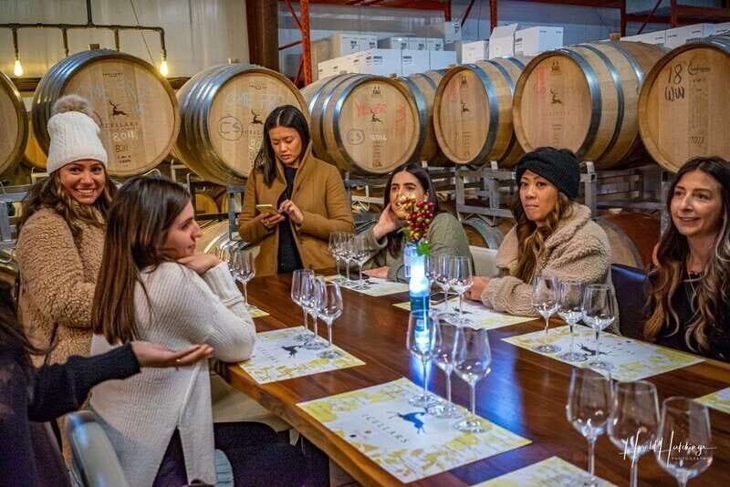 Niagara Falls, Canada: Escarpment Boutique Wine Tour - What to Expect During Your Day