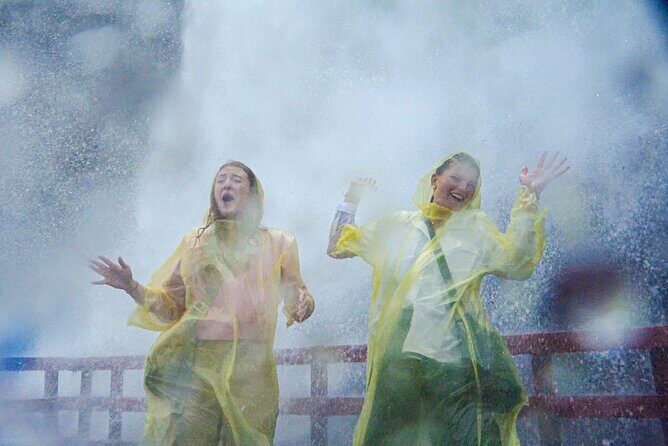 Niagara Falls Day and Night Combo plus Dinner & Fireworks - Detailed Breakdown of the Tour Experience
