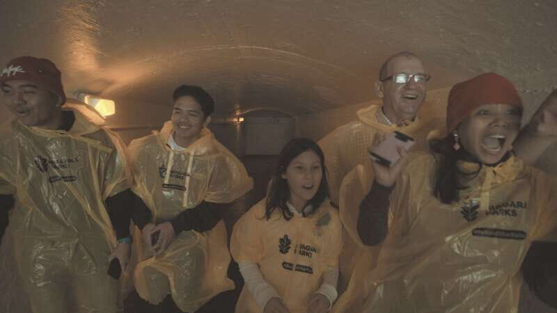 Niagara Falls: Day & Night Tour with Boat Ride and Dinner - An In-Depth Look at the Niagara Falls Day & Night Tour