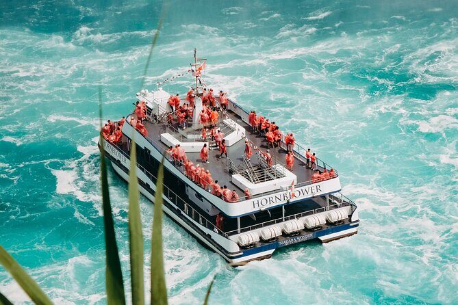 Niagara Falls Maid of the Mist & Cave of the Winds Tour - The Sum Up: Who Should Book This Tour?