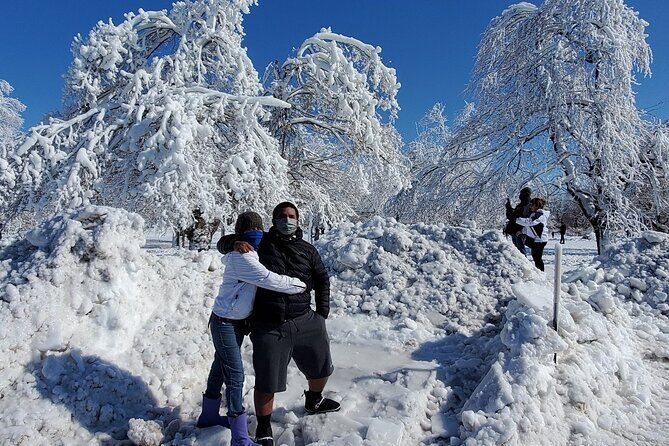 Niagara Falls NY small group Winter Wonderland Tour - Who Should Consider This Tour?