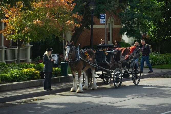 Niagara Falls One Day Sightseeing Tour from Toronto - An In-Depth Look at the Tour Experience
