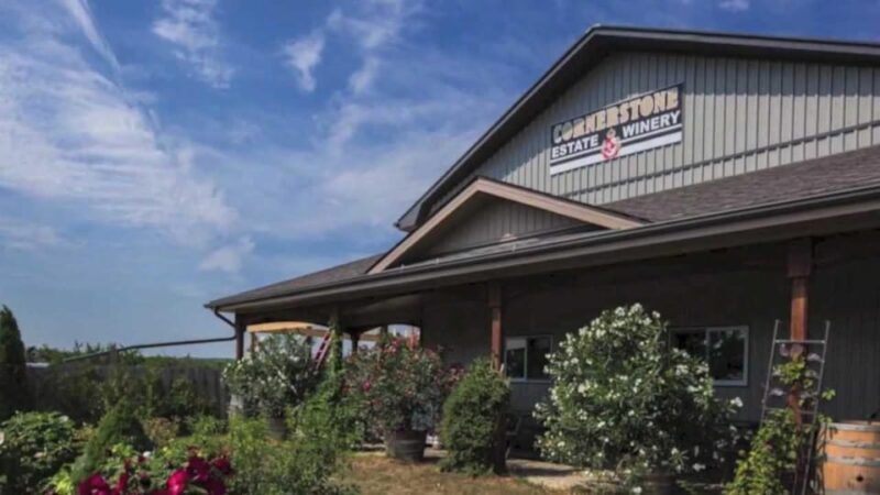 Niagara Falls: Public Niagara Wine Tour with Transportation - Authentic Perspectives from Travelers