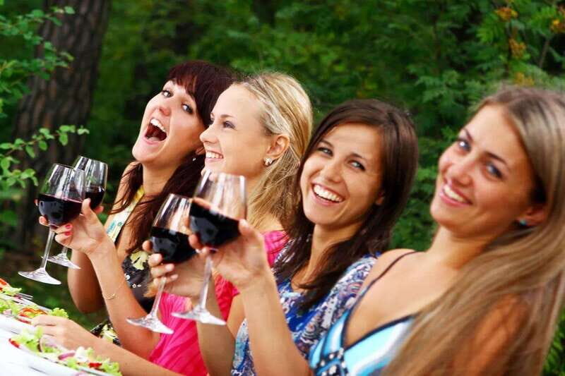 Niagara Falls: Public Niagara Wine Tour with Transportation - Who This Tour Is Best For