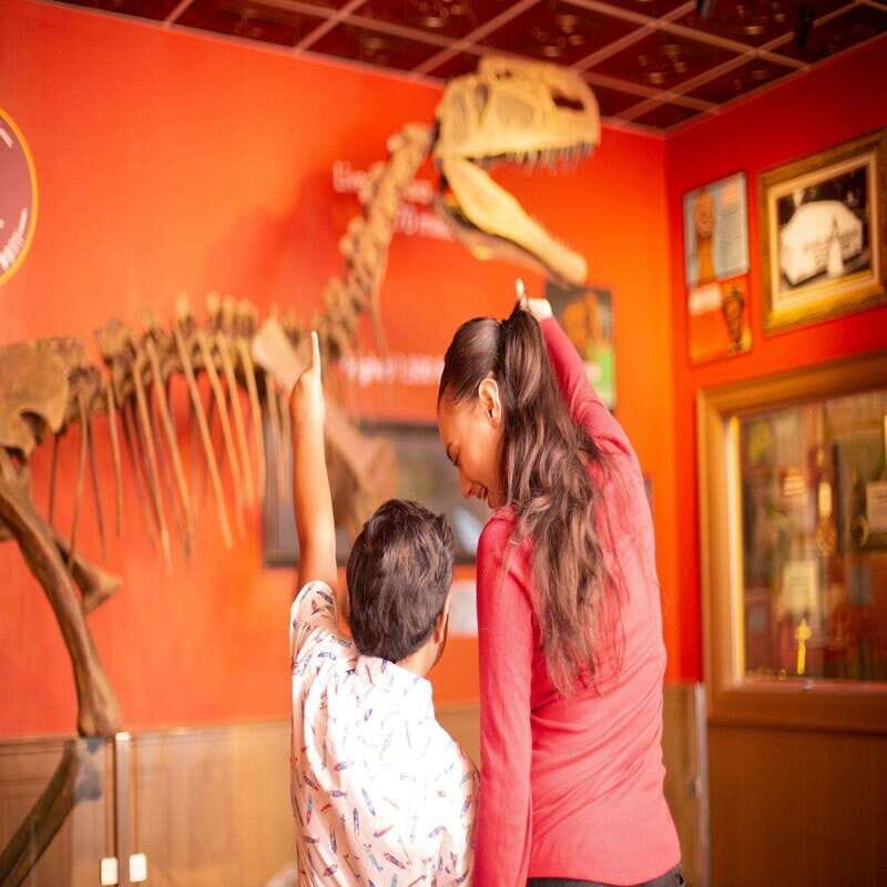 Niagara Falls: Ripley's Believe It or Not! Museum Entry - What to Expect at Ripleys Believe It or Not! Museum