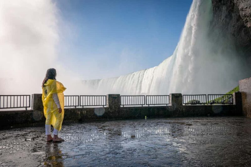 Niagara Falls Tour with Skip the Line Cruise & Maple Tasting - Price & Value Analysis