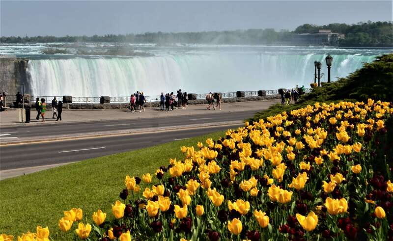 Niagara Falls Tour with Skip the Line Cruise - Who Will Love This Tour?