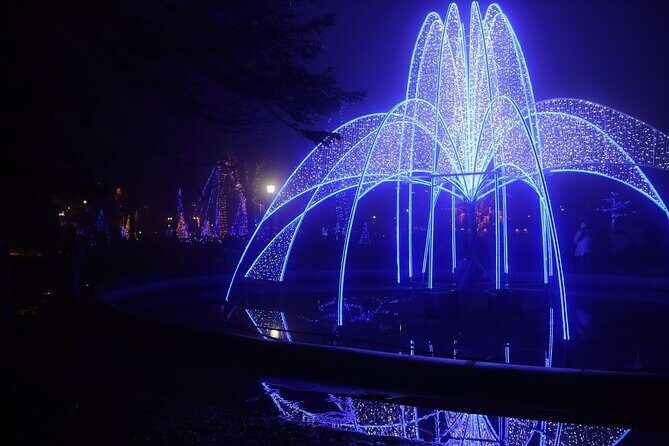 Niagara Falls USA/Canada Winter Wonderland Adventure tour - Final Thoughts: Who Will Love This Tour?