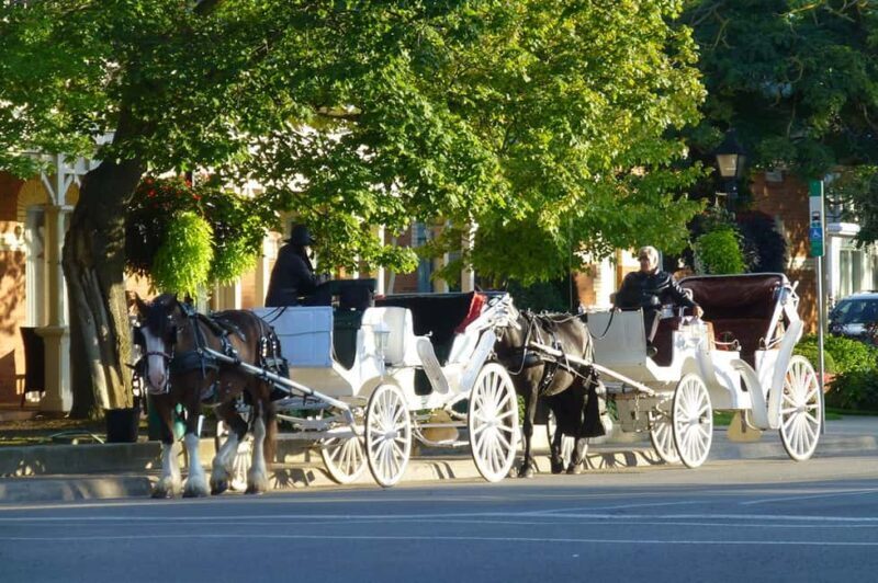 Niagara-on-the-Lake: Guided Vehicle Tour(The Prettiest Town) - The Sum Up: Who Is This Tour Best For?