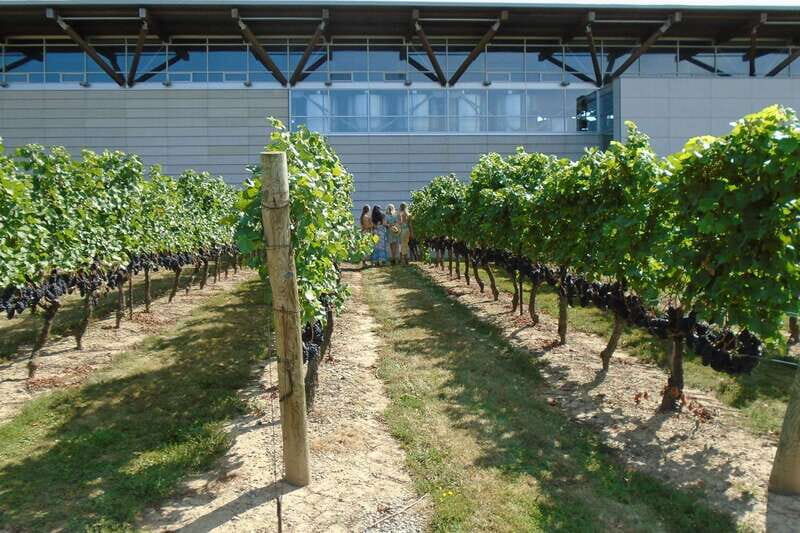 Niagara-on-the-Lake/Niagara Falls: Private Custom Day Trip - Authentic Experiences and Why They Matter