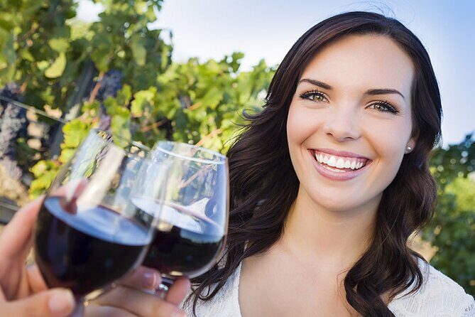 Niagara-on-the-Lake Small Group Wine Tour with Picnic Lunch - An In-Depth Look at the Experience