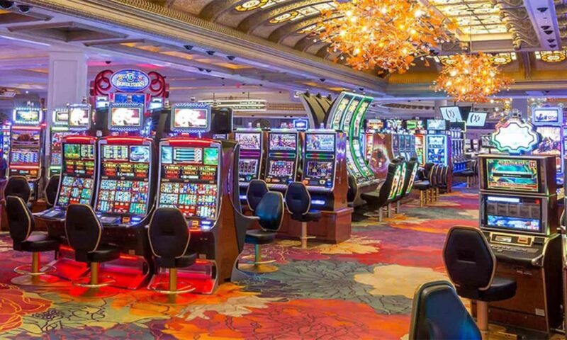 Niagara: VIP Casino Tour with Private Driver From Toronto - Dining and Relaxation Options