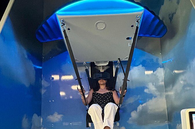"Niagara Virtual" Parasailing Adventure in VR! - Authentic Traveler Insights