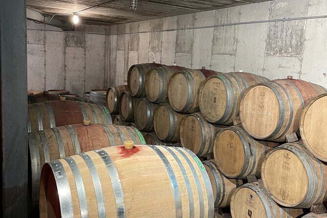 Niagara Wine Tasting and three courses Dinner - Who Should Consider This Tour?