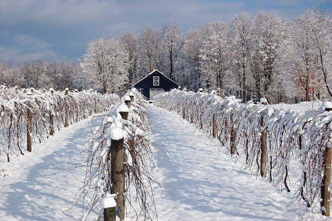 Niagara Wine Tour and Tastings with Included Transportation - Final Thoughts: Is This Tour Right for You?