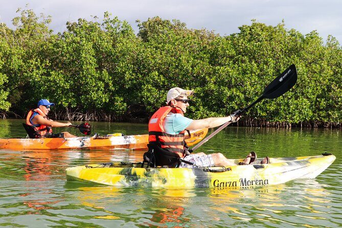 Nichupte Lagoon! Mangrove Kayaking Experience from Cancun - Why Choose This Tour?