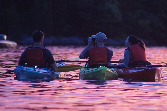 Nickajack Bat Cave Kayak Tour with Chattanooga Guided Adventures - Practical Tips