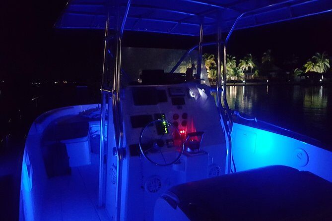 Night Bioluminescence Snorkel Tour - FAQ