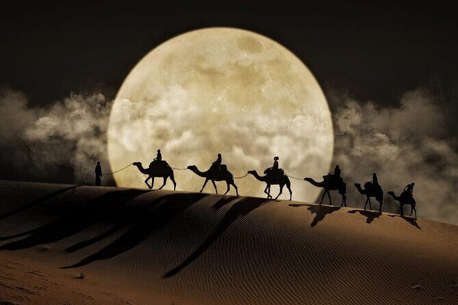 Night Desert Safari, Stargazing, Dune Driving & Inland Sea Visit - Introduction