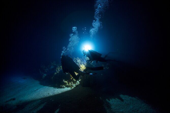 Night Dive Adventure in Oahu - Key Points