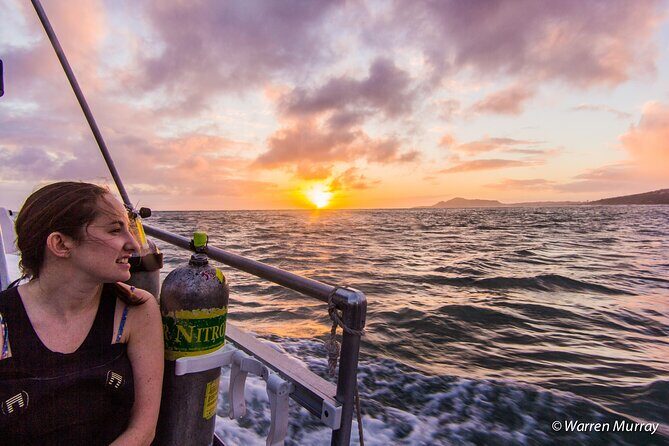 Night Dive Adventure in Oahu - An In-Depth Look at the Night Dive Experience
