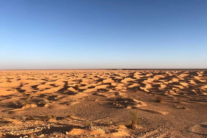 Night excursion to the desert and Berber village from Djerba - A Truly Unique Adventure: Night Excursion to the Desert and Berber Village from Djerba
