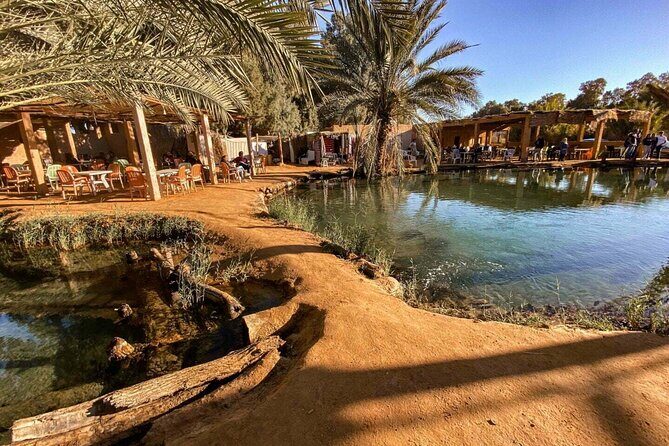 Night excursion to the desert and Berber village from Djerba - An In-Depth Look at the Tour Experience