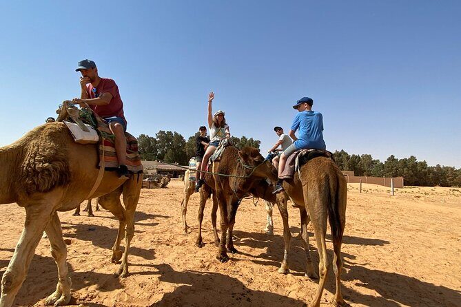 Night excursion to the desert and Berber village from Djerba - Why Travelers Love This Tour