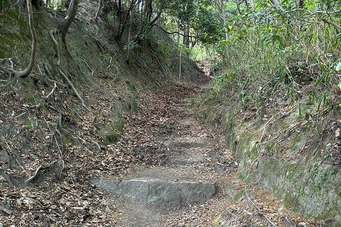 Night Hike Adventure in Kobe with local dinner - The Experience’s Strengths