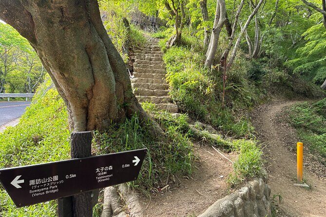 Night Hike Adventure in Kobe with local dinner - Who Will Love This Tour?