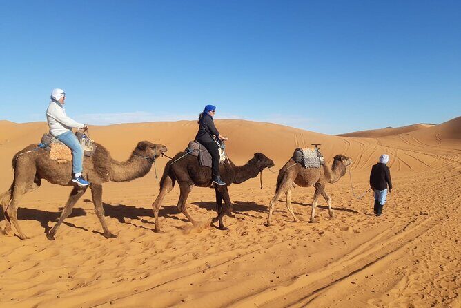 Night in Erg chebbi Desert, Camel Ride, Departure From Errachidia - The Value of This Sahara Experience