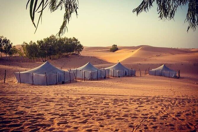 Night in the desert of Lompoul - A Deep Dive into the Desert Night Experience