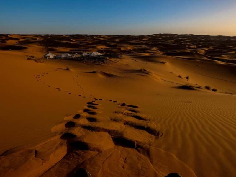 Night in the Desert Overnight Camping in Salalah - Key Points