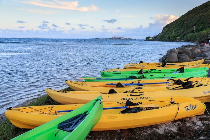 Night Kayaking Experience on Bioluminescent Lagoon in Fajardo - Practical Tips for Travelers