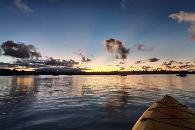 Night Kayaking Experience on Bioluminescent Lagoon in Fajardo - Who Should Consider This Tour?