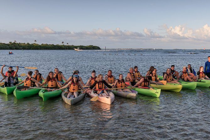 Night Kayaking Experience on Bioluminescent Lagoon in Fajardo - FAQ