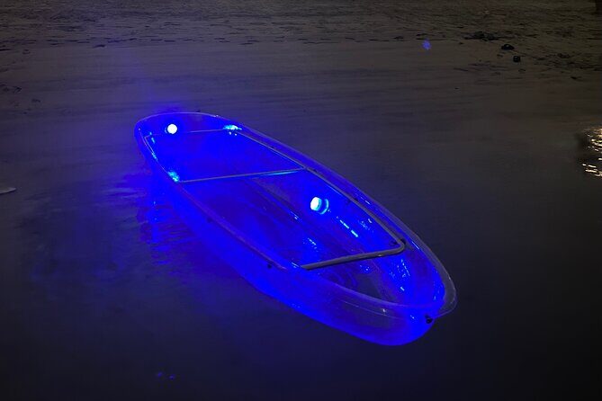 Night kayaking in Dubai with Burj Khalifa views - Price and Value Considerations
