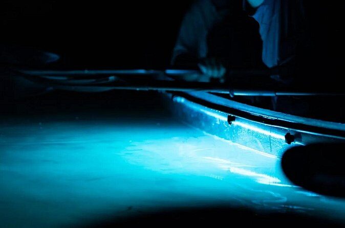 Night Mangrove Kayak Tour - Practical Considerations