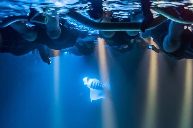 Night Manta Ray Experience - FAQ