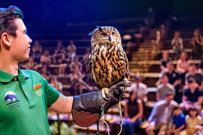 Night Safari Tickets with Tram Ride - The Sum Up: Is the Night Safari Ticket Worth It?