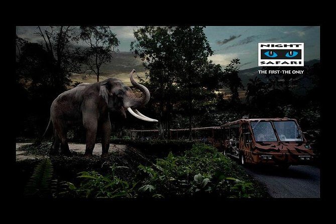 Night Safari Tour with Transfer - Transportation and Logistics