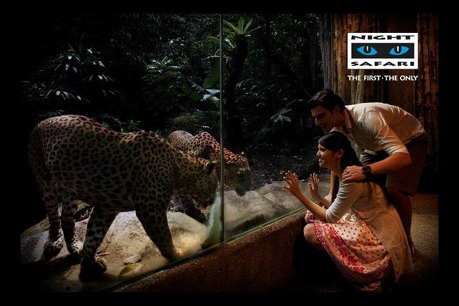 Night Safari Tour with Transfer - What the Reviews Tell Us