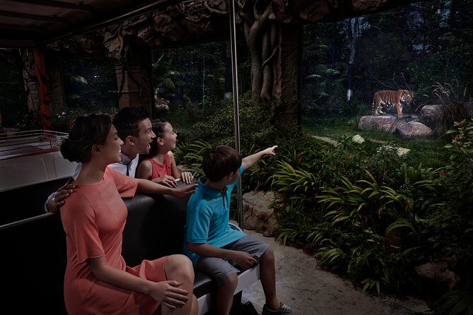 Night Safari with Buffet Dinner with hotel pick-up - An In-Depth Look at the Night Safari Experience