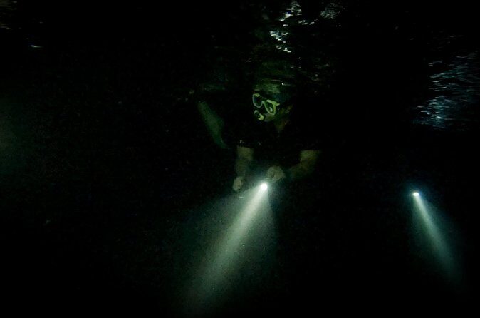 Night Snorkeling Adventure - The Equipment and Practical Considerations