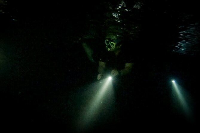 Night Snorkeling Adventure - Final Thoughts