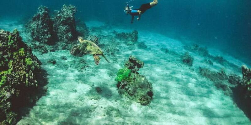 Night Snorkeling in Mirissa - What to Expect from Night Snorkeling in Mirissa