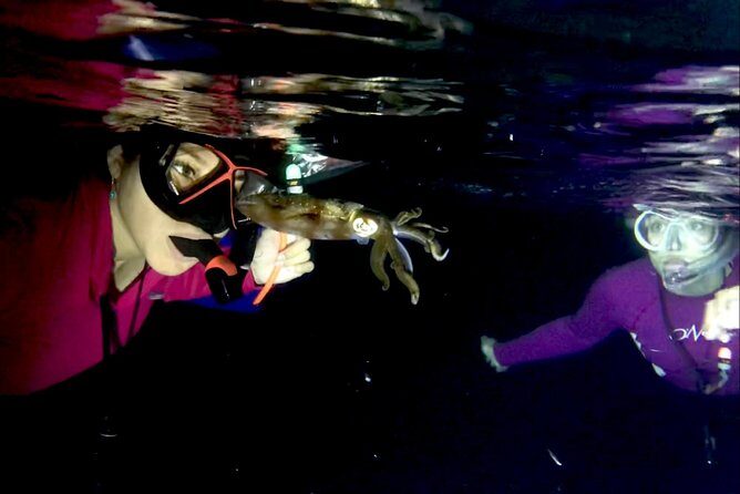 Night Snorkeling - Observation of octopus and other species - The Sum Up: Who Will Love This Experience?